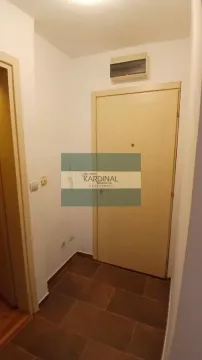 Izdavanje, jednosoban stan, 28m², Centar, Jagodina - image 2