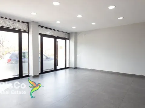 Izdavanje, poslovni prostor, 73m², Zabjelo, Podgorica - image 12