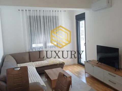 Rent, one bedroom apartment, 45m², Stari Aerodrom, Podgorica - image 1