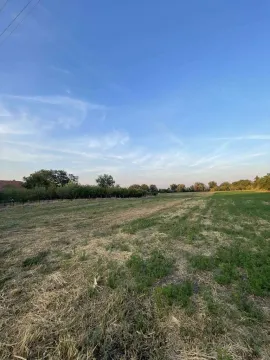 Pogled na prostrano poljoprivredno zemljište sa travnatom površinom i zelenilom u pozadini. - image 4