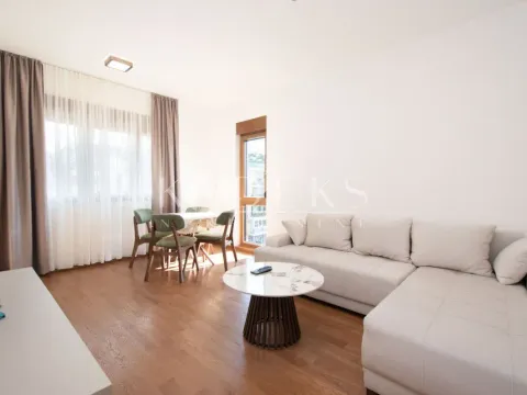 Izdavanje, jednosoban stan, 46m², Vezirov Most, Podgorica - image 2