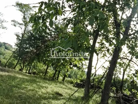 Prodaja, plac, 1038m², Sopot, Beograd - image 2