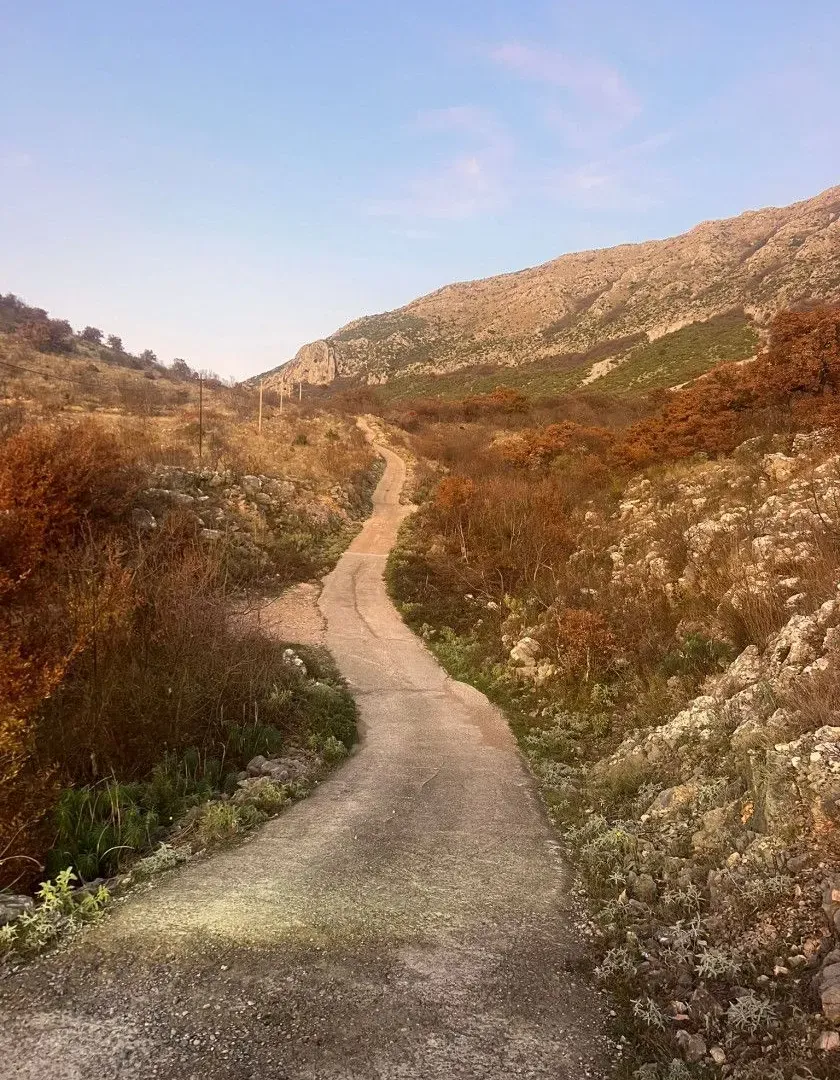 Prodaja, plac, 4000m², Bar, Crna Gora