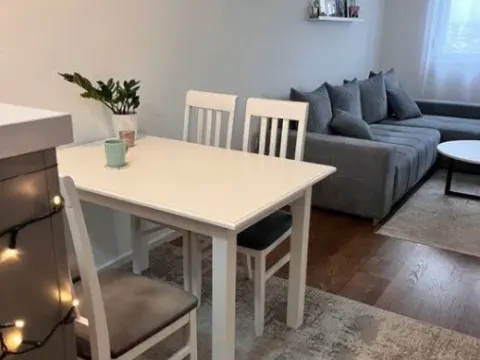 Izdavanje, jednosoban stan, 45m², Pobrežje, Podgorica - image 3