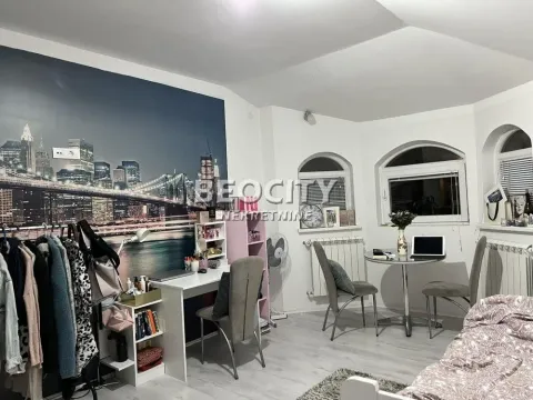 Sale, house, 500m², Miljakovac, Rakovica - image 7