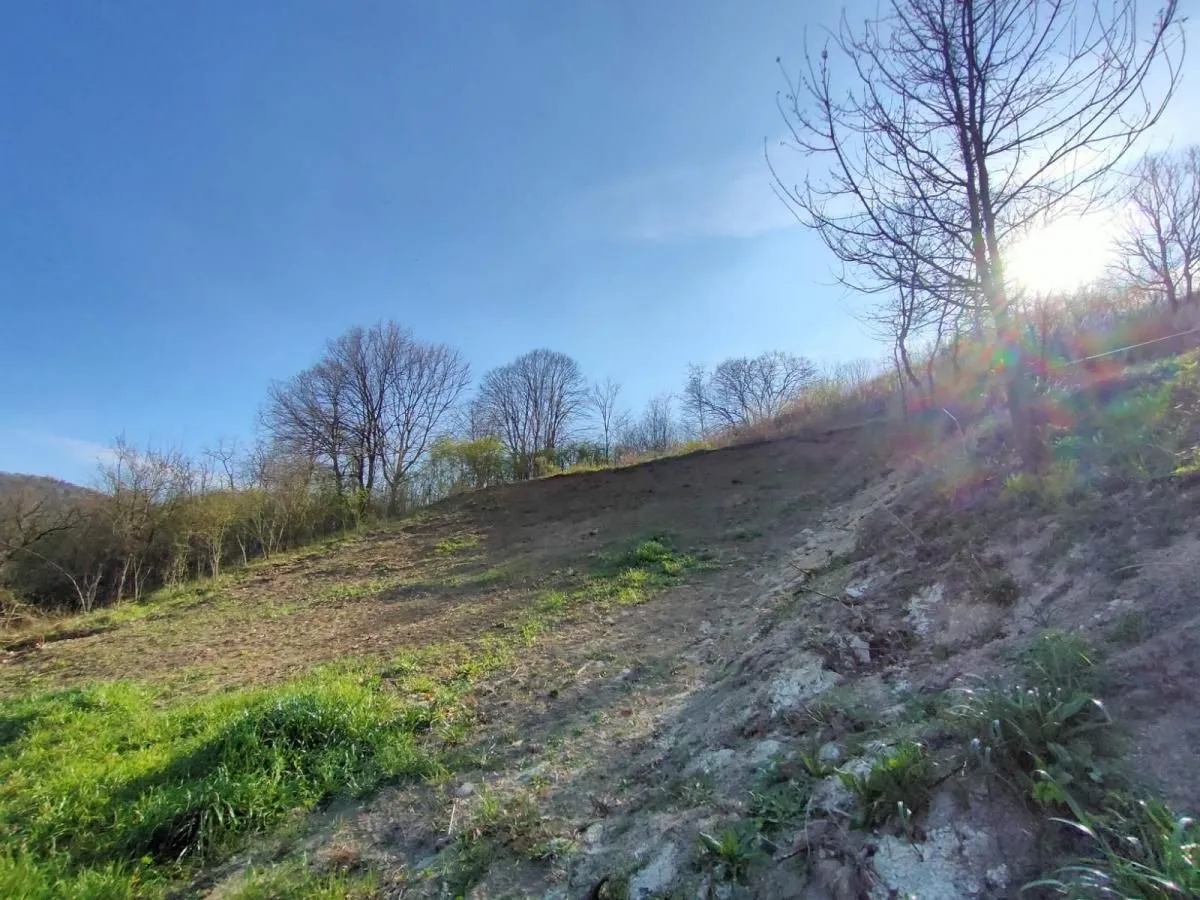 Prodaja, plac, 1300m², Beočin, Srbija