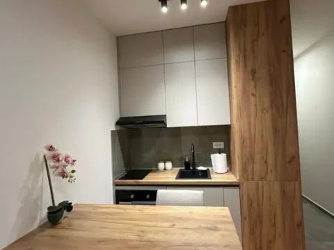 Izdavanje, garsonjera, 24m², Zabjelo, Podgorica - image 6