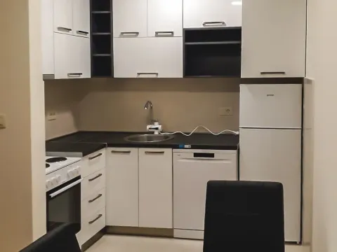 Izdavanje, jednosoban stan, 45m², Zagorič, Podgorica - image 11