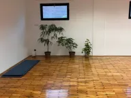 Izdavanje, poslovni prostor, 120m², Mlake, Sombor - image 9