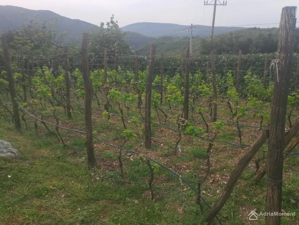 Prodaja, kuća, 110m², Zelenika, Herceg Novi