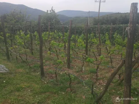 Prodaja, kuća, 110m², Zelenika, Herceg Novi - image 5