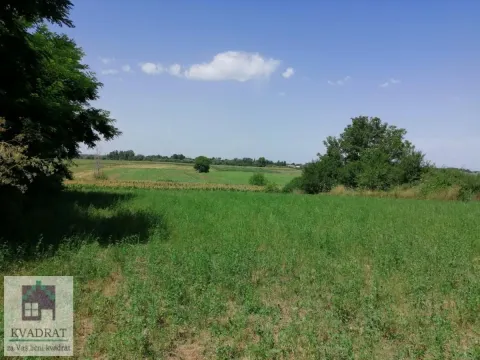 Sale, land lot, 2300m², Zvečka, Obrenovac - image 4