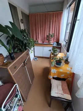 Zastakljeni balkon sa nameštajem i biljkama. - image 7