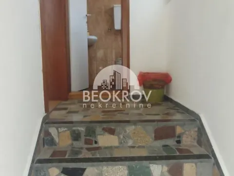 Izdavanje, kuća, 450m², Vračar Hram, Vračar Sve Podlokacije - image 5