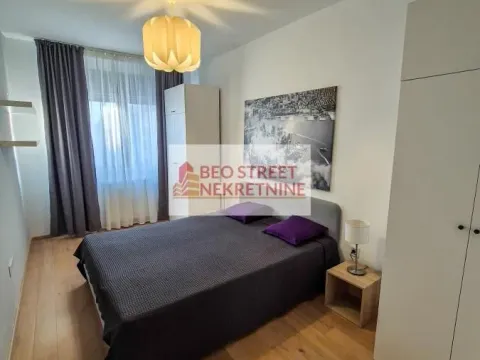 Izdavanje, dvosoban stan, 45m², Voždovac Sve Podlokacije, Beograd - image 6