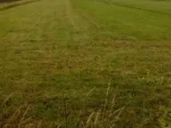 Prodaja, plac, 3000m², Glibavac, Nikšić