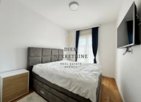 Izdavanje, jednosoban stan, 50m², Central Point, Podgorica - image 2