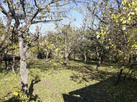 Prodaja, kuća, 204m², Parcani, Sopot - image 2