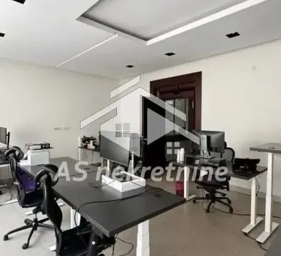 Izdavanje, poslovni prostor, 223m², Kalenić Pijaca, Vračar Sve Podlokacije - image 3