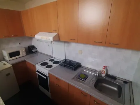 Izdavanje, jednosoban stan, 45m², Centar, Novi Sad - image 4