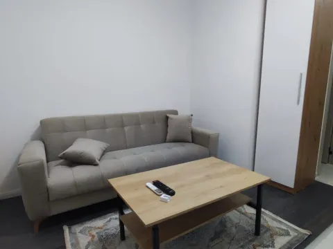 Izdavanje, garsonjera, 20m², Zabjelo, Podgorica - image 3