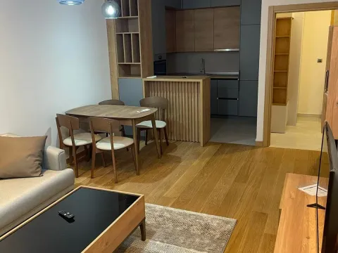 Izdavanje, jednosoban stan, 52m², Podgorica, Crna Gora - image 9