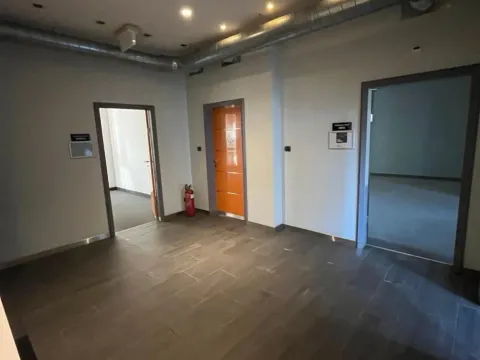 Izdavanje, poslovni prostor, 201m², Botanička Bašta, Palilula Sve Podlokacije - image 12