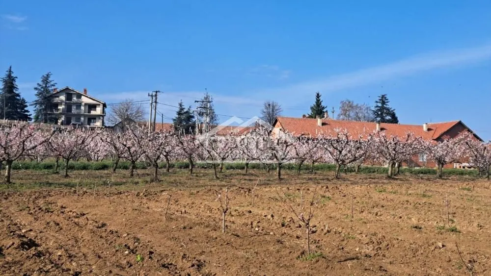 Sale, land lot, 4058m², Brestovik, Grocka