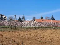 Prodaja, plac, 4058m², Brestovik, Grocka