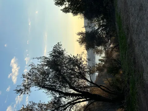 Zemljište in Gornja Lastva