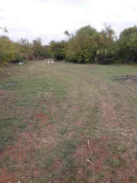 Prodaja, plac, 8600m², Bandići, Danilovgrad - image 2