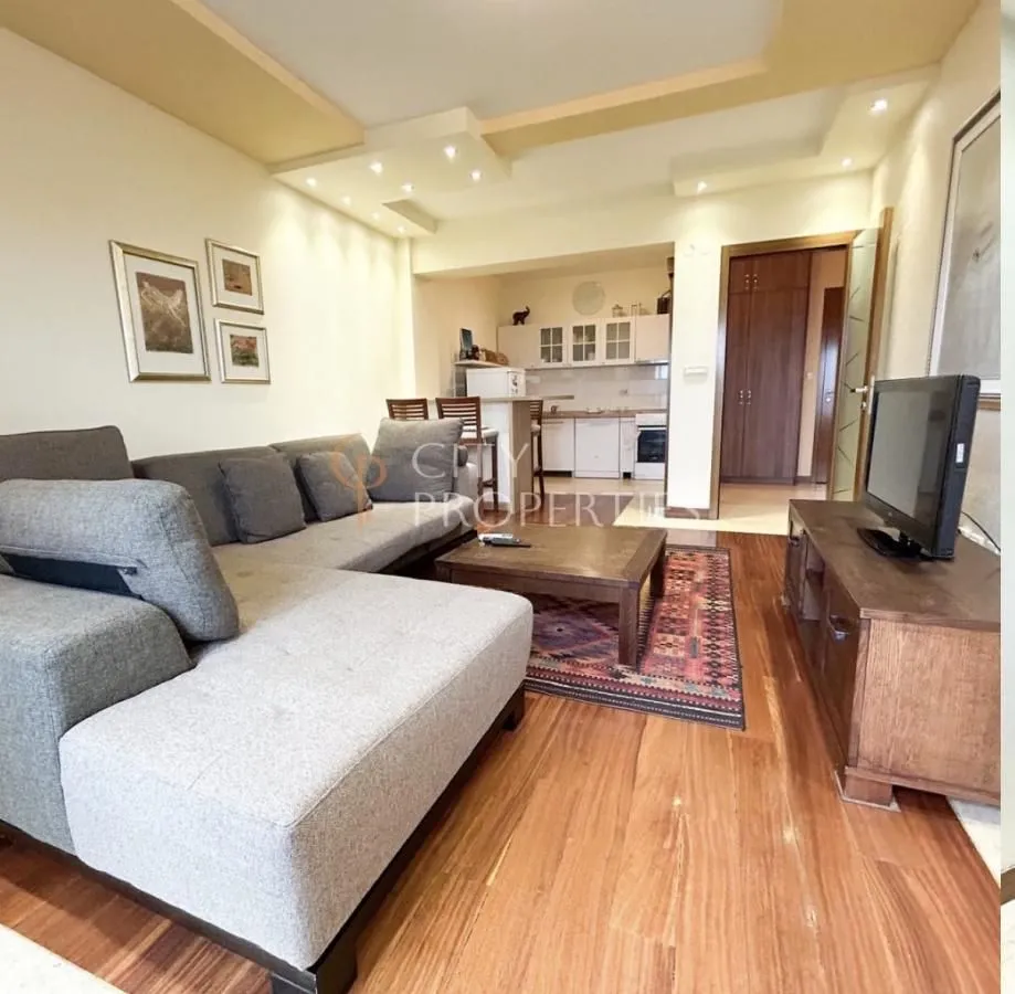 Izdavanje, stan, 55m², Centar, Podgorica