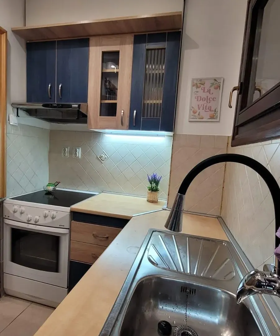 Rent, four bedroom apartment, 94m², Vračar Hram, Vračar Sve Podlokacije