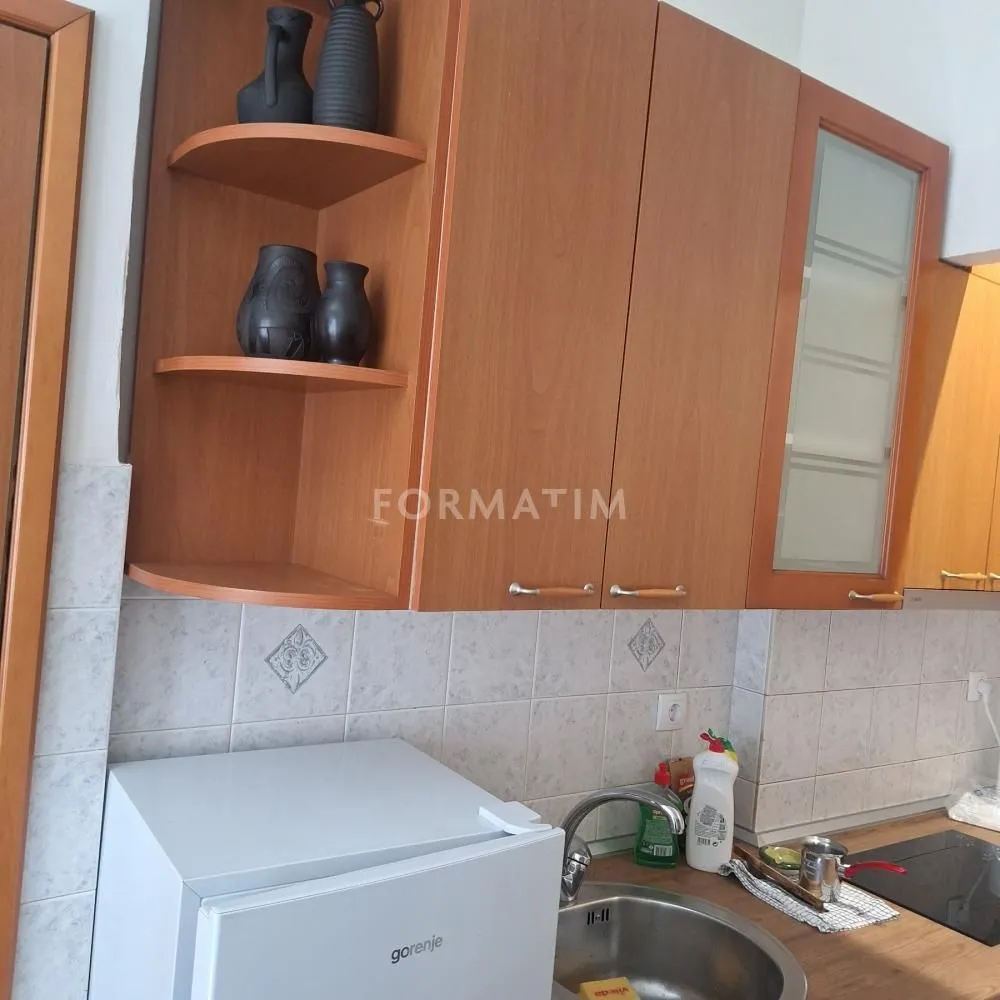 Rent, one bedroom apartment, 40m², Vračar Centar, Vračar Sve Podlokacije