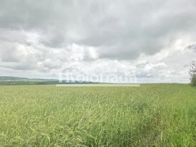 Prodaja, plac, 6100m², Dučina, Sopot