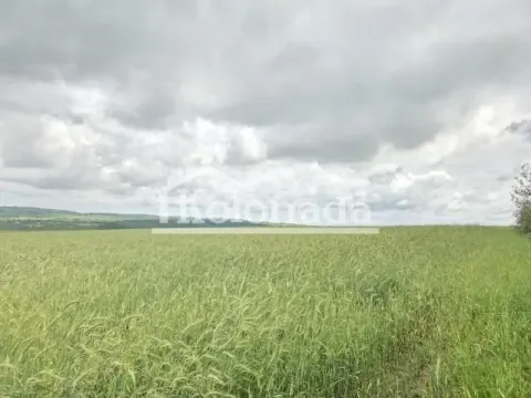 Sale, land lot, 6100m², Dučina, Sopot - image 2