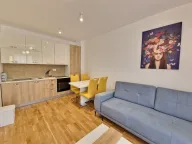 Izdavanje, jednosoban stan, 48m², Bečići, Budva - image 16