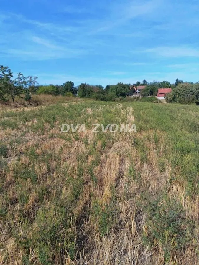 Pogled na zemljište i prirodu sa zelenilom.