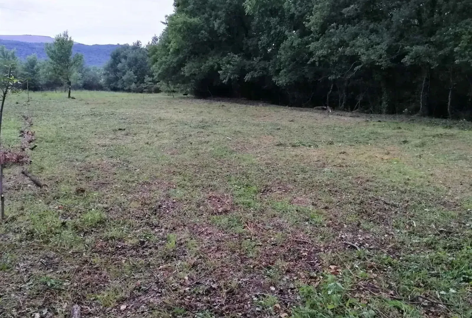 Sale, land lot, 5181m², Kotor, Crna Gora