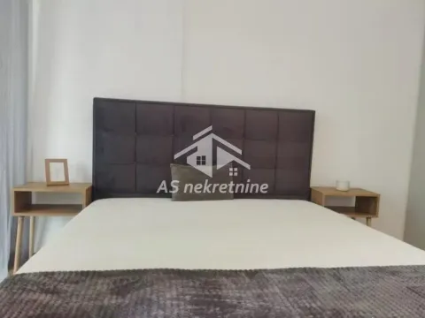 Izdavanje, dvosoban stan, 60m², Novi Beograd Blok 65, Novi Beograd Sve Podlokacije - image 11