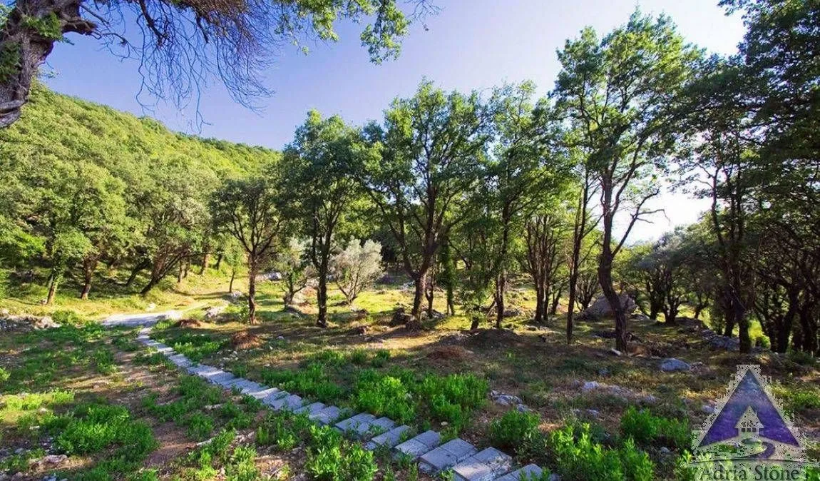 Prodaja, plac, 14551m², Tudorovići, Budva