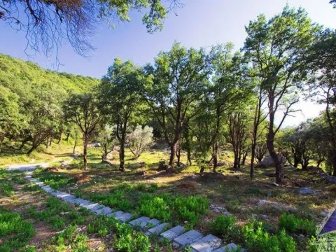 Prodaja, plac, 14551m², Tudorovići, Budva - image 3