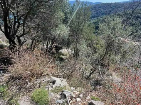 Sale, land lot, 500m², Jošica, Herceg Novi - image 3