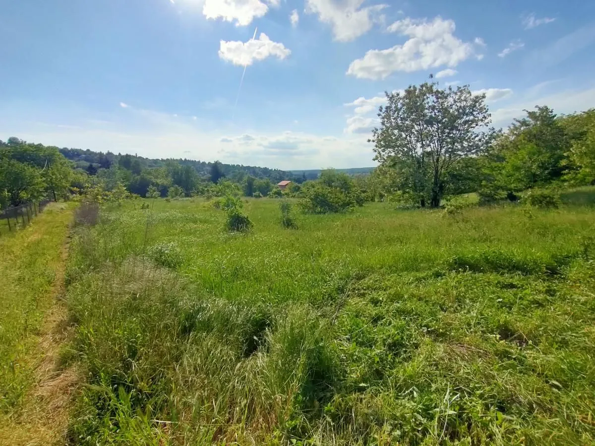 Prodaja, plac, 5000m², Ledinci, Petrovaradin