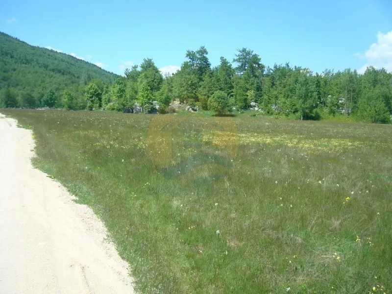 Prodaja, plac, 105000m², Plužine, Crna Gora