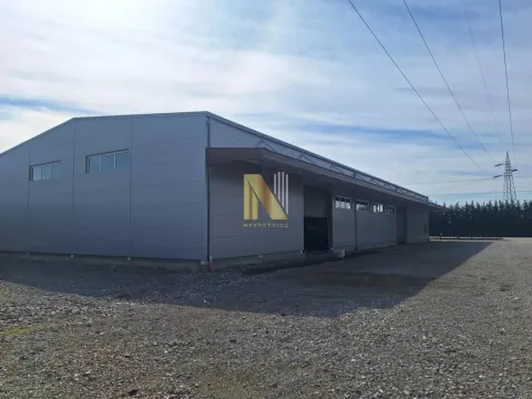 Rent, office space, 1150m², Šabac, Srbija - image 1