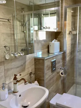 Moderno opremljeno kupatilo sa umivaonikom, tuš kabinom i ogledalom sa ormarićem. - image 8