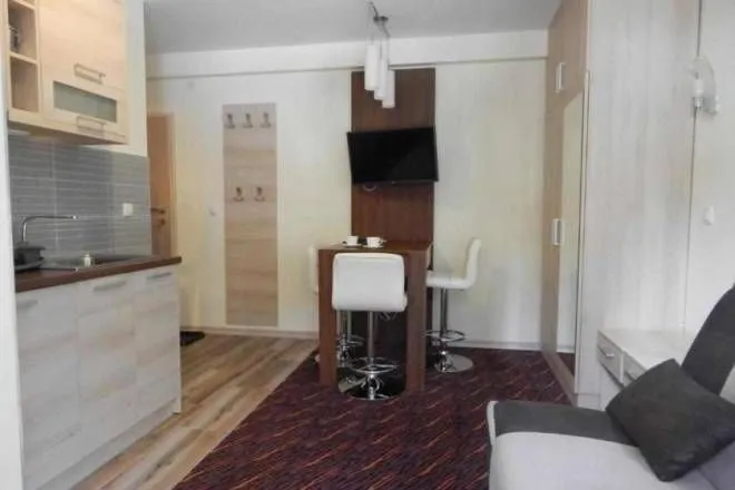 Prodaja, jednosoban stan, 21m², Kraljevi Čardaci, Kopaonik