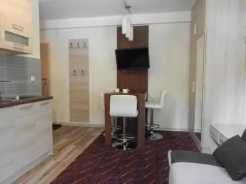 Sale, one bedroom apartment, 21m², Kraljevi Čardaci, Kopaonik - image 3