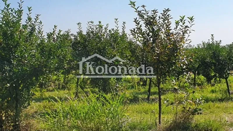 Sale, land lot, 13400m², Djurinci, Sopot